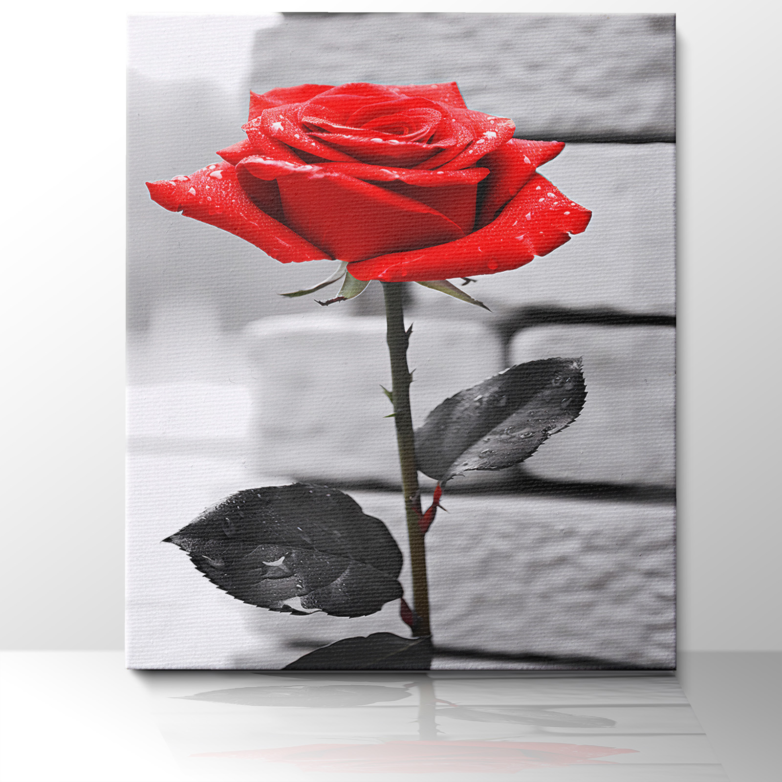 rose canvas printing